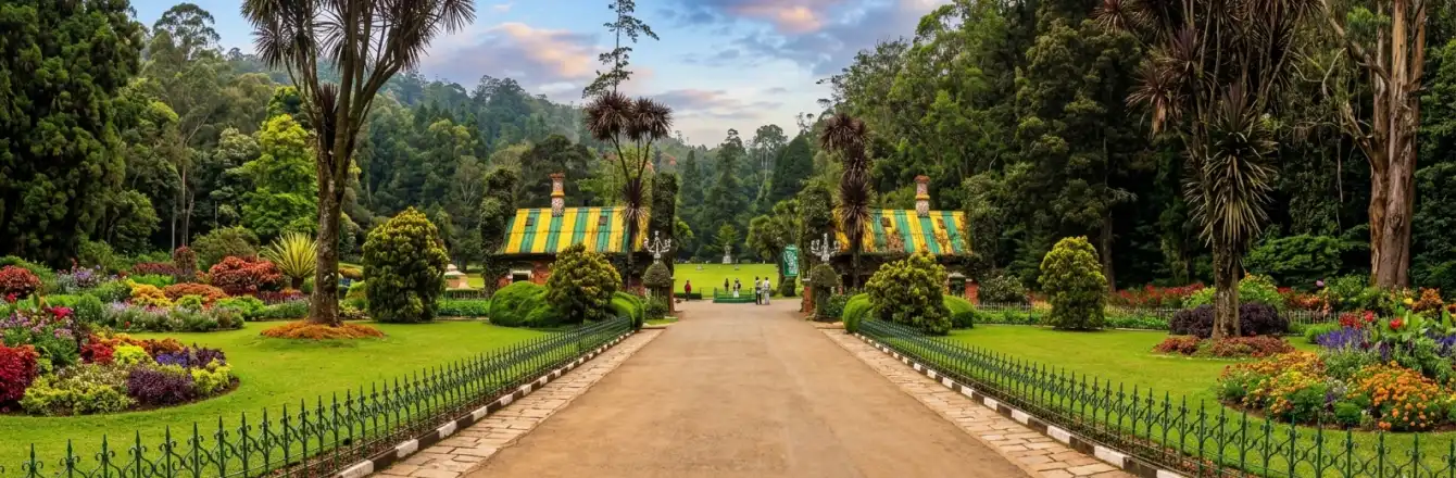 Dreamy Places to Visit in Ooty That You Shouldn’t Miss: An Ultimate Step-by-Step Guide