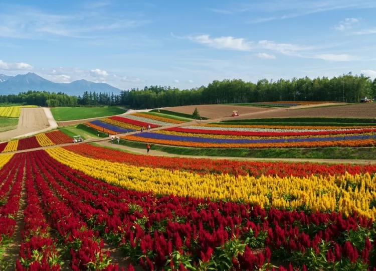 hokkaido 1