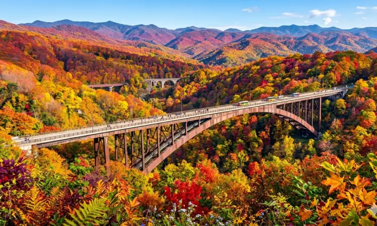 Aomori