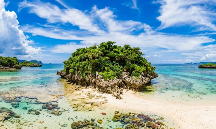 Iriomote Island