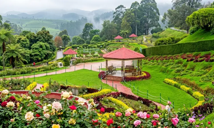 places to visit in ooty rose garden