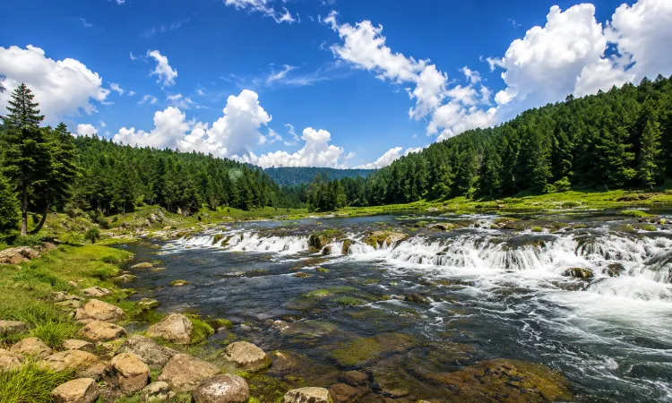 places to visit in ooty avalanche lake