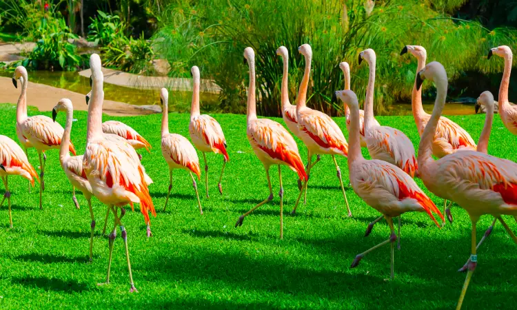 places to visit in kolkata alipore zoological park