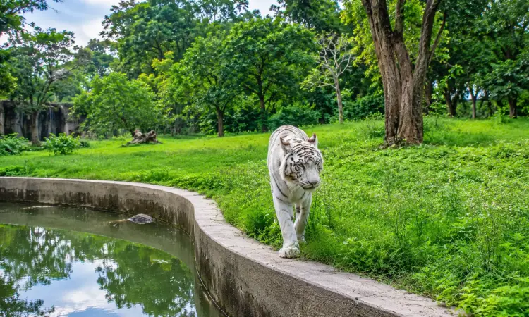 National Zoological Park