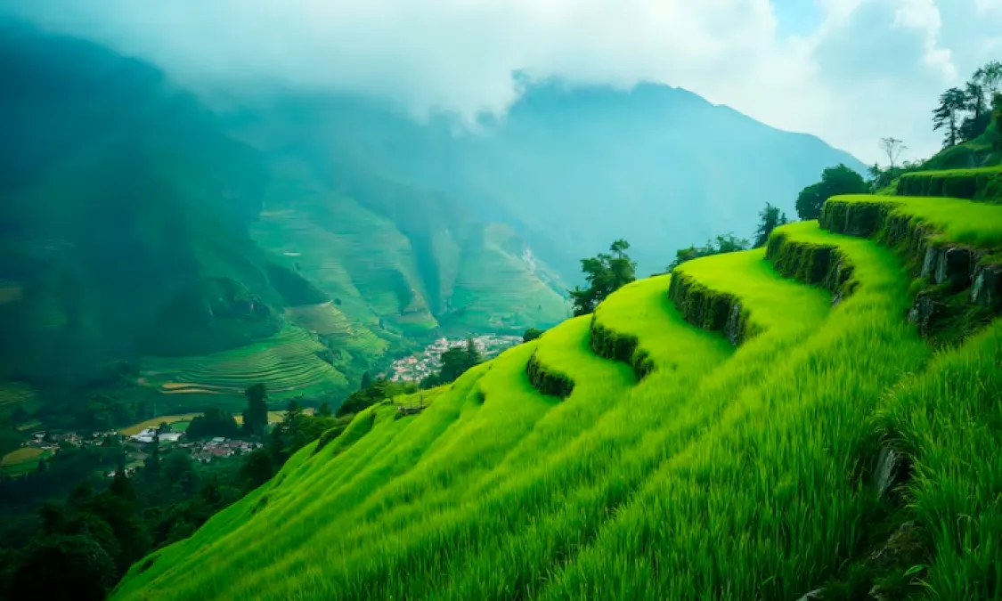 Munnar- Western Ghats of Kerala