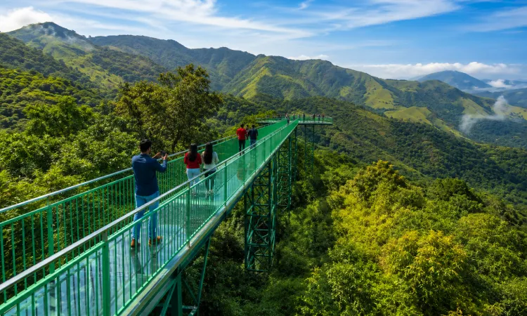 Wayanad- Serene Forest Getaway
