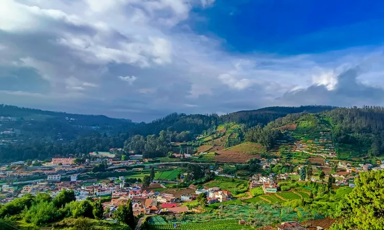 ooty