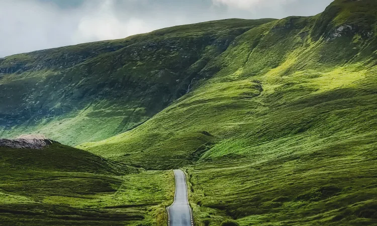 Donegal