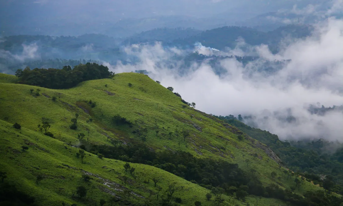 Wayanad