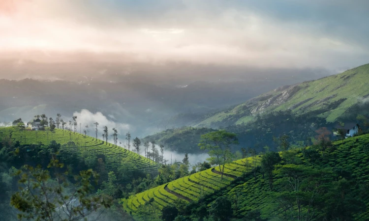 Vagamon