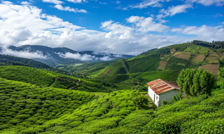 Coorg- Mini Scotland of India