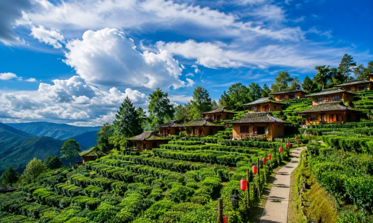 Kausani- The Mini Switzerland of India 