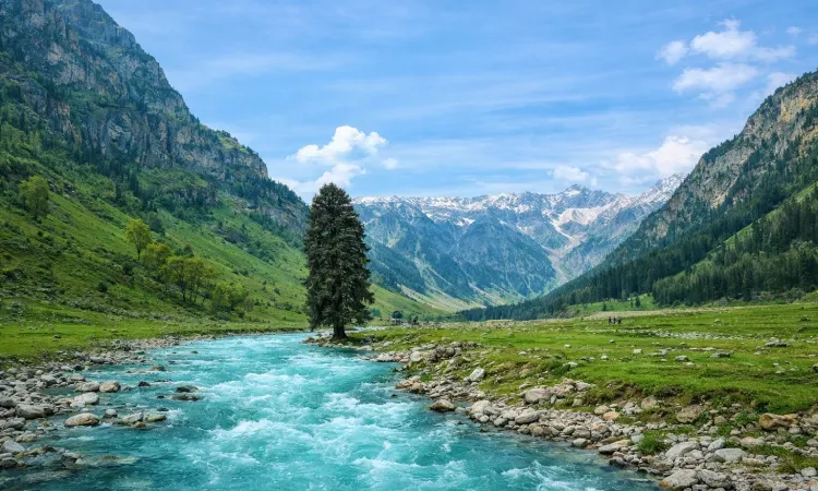 kashmir