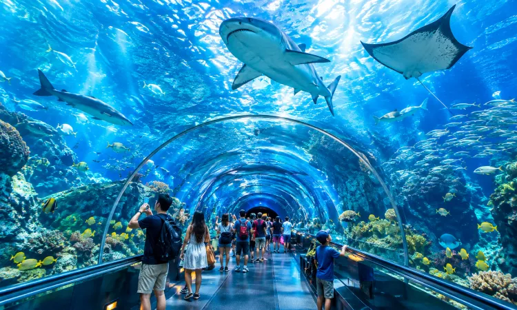dubai aquarium and underwater zoo