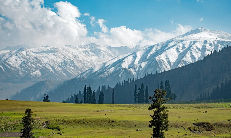 gulmarg