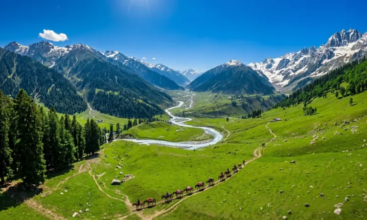 sonmarg