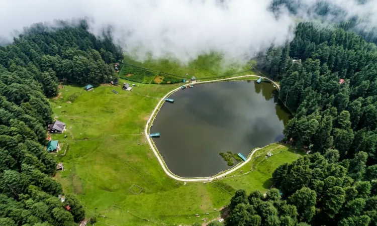 patnitop
