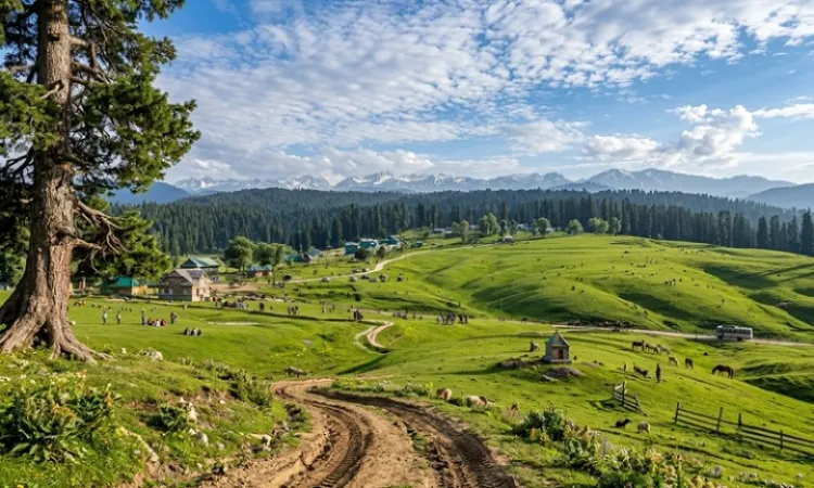 yusmarg