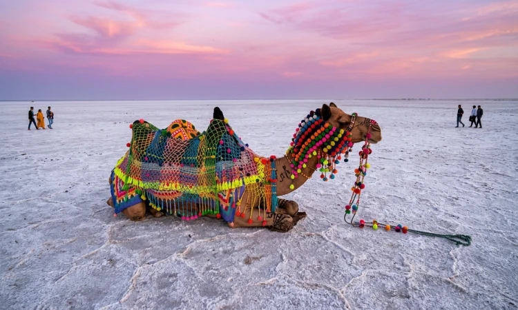 rann of kutch