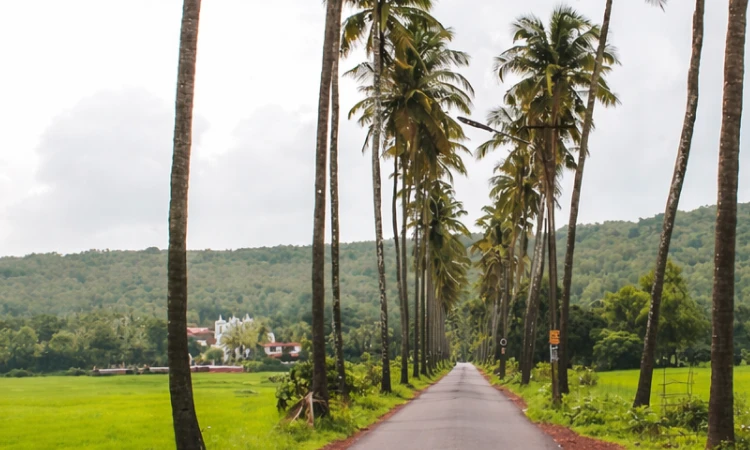 goa