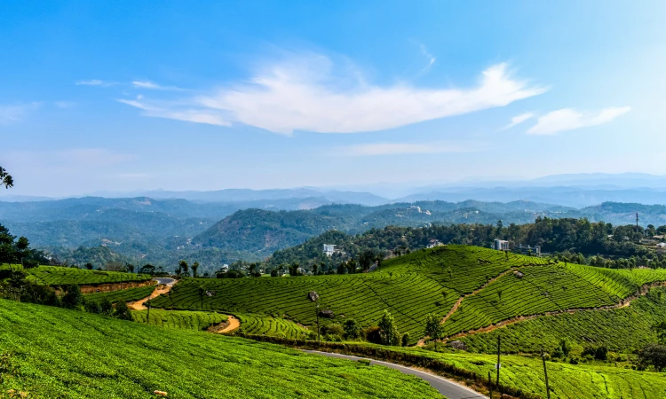 munnar