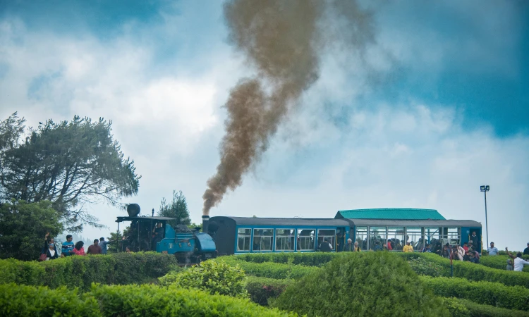 darjeeling