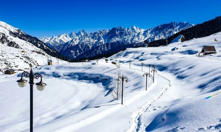 auli