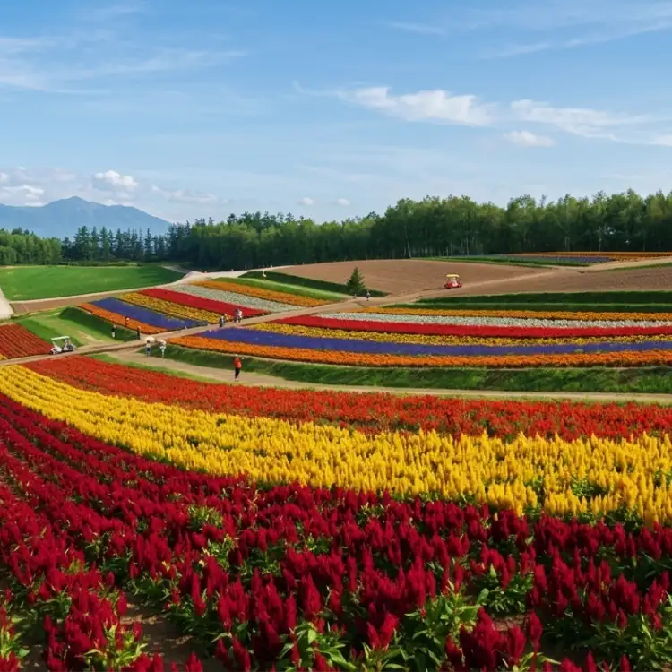 Japan in May Explained: Weather, Travel Tips & Best Places to Visit