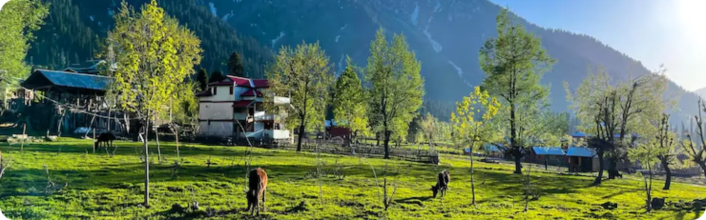 Kashmir Snow & Shikara Escape photo 2