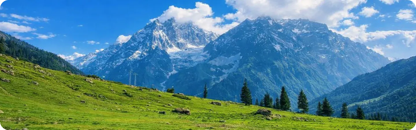 Kashmir 4N Signature Tour – Lakes, Snow & Meadows photo 3