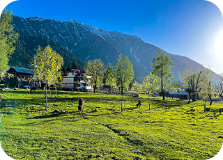 Kashmir Snow & Shikara Escape