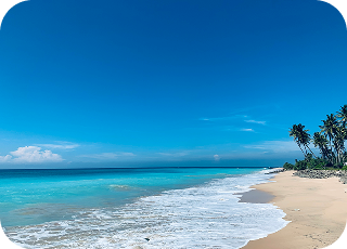 Ultimate Sri Lanka Youth Escape: Hills to Coast Journey