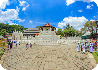 Sri Lanka Highlights: 5 Nights Tour