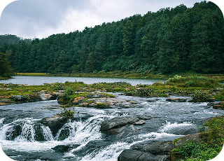 Karnataka Cultural Escape - Bangalore Coorg Mysore Ooty Tour