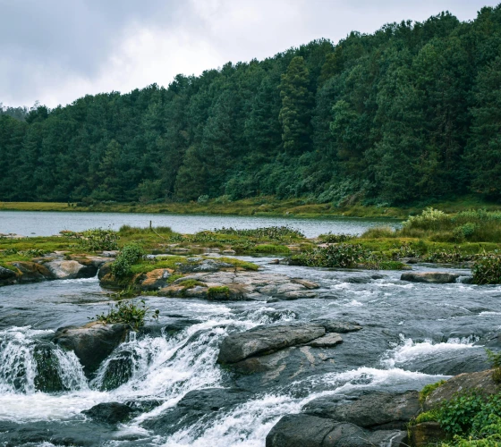 Karnataka Cultural Escape - Bangalore Coorg Mysore Ooty Tour